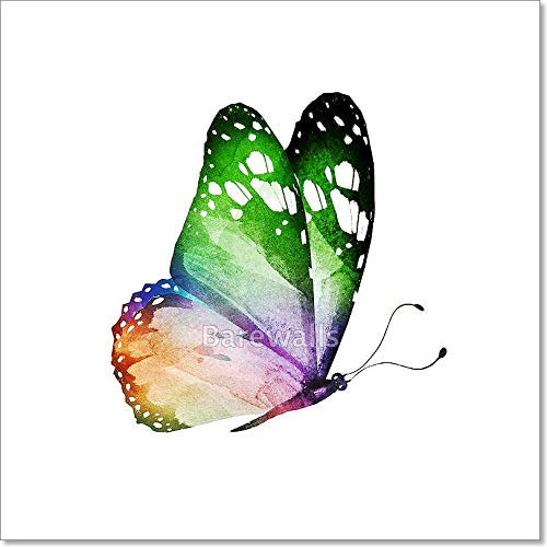 500x500 Watercolor Butterfly, Isolated On White Paper Print