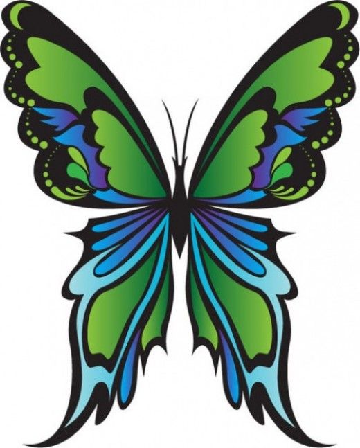 520x647 Butterfly Clip Art Adorned Shirts Butterfly Clip Art