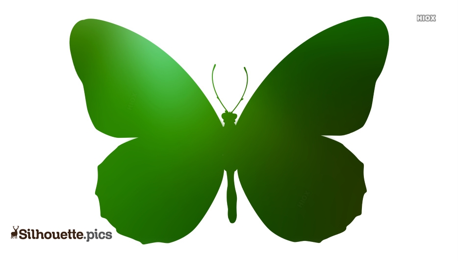 934x534 Butterfly Drawing Clipart Silhouette Silhouette Pics