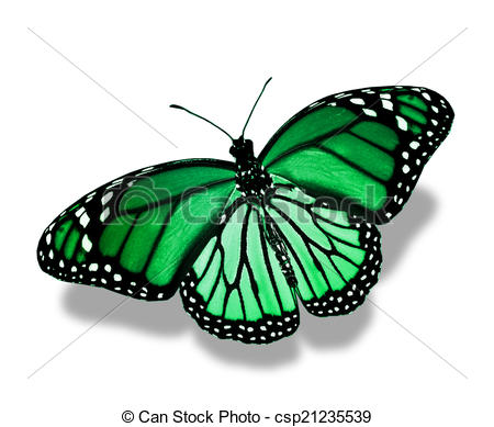 450x389 Green Butterfly Isolated On White