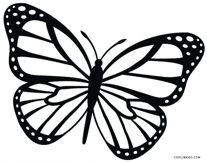728x571 Tribal Butterfly Drawings In Color Images With Green Coloring