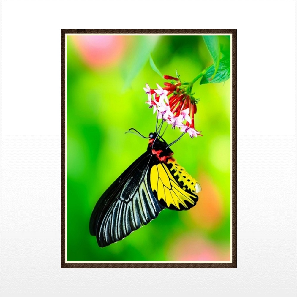 1000x1000 Naiyue Green Butterfly Print Draw Diamond Drawing