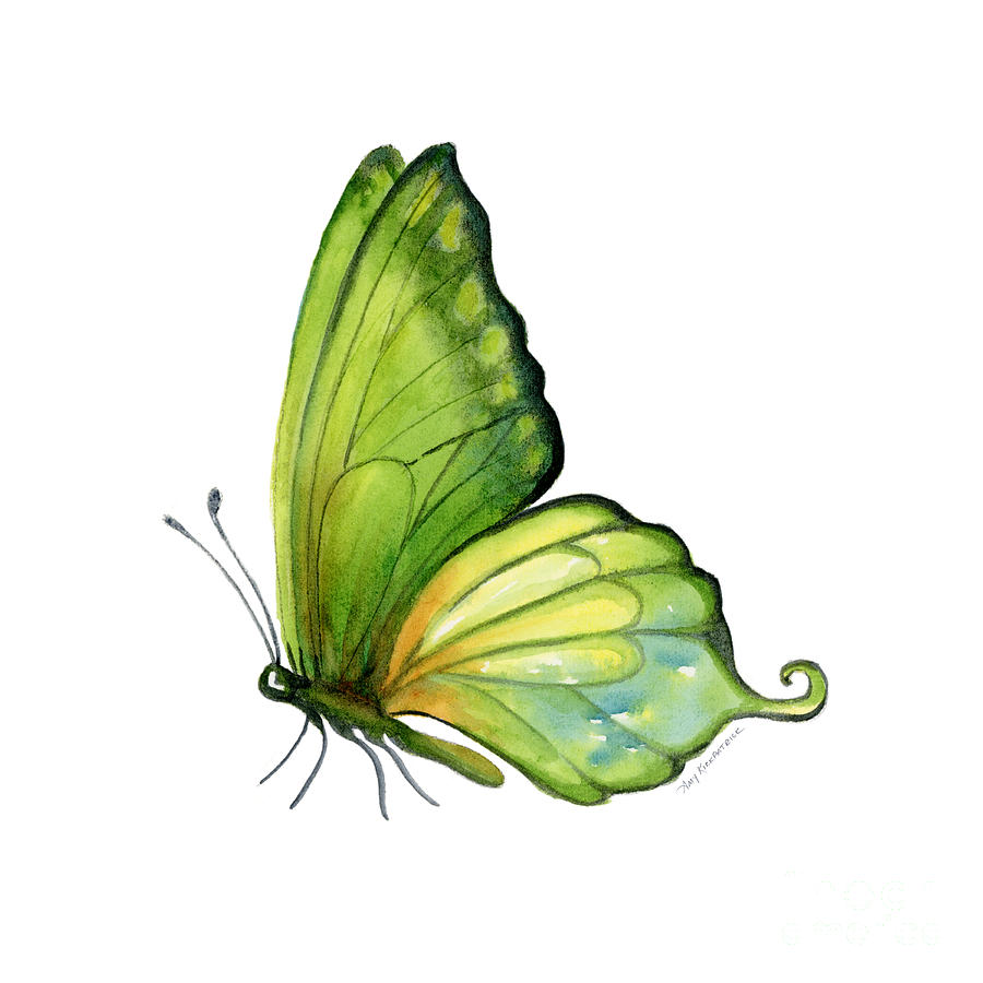 900x900 sap green butterfly painting