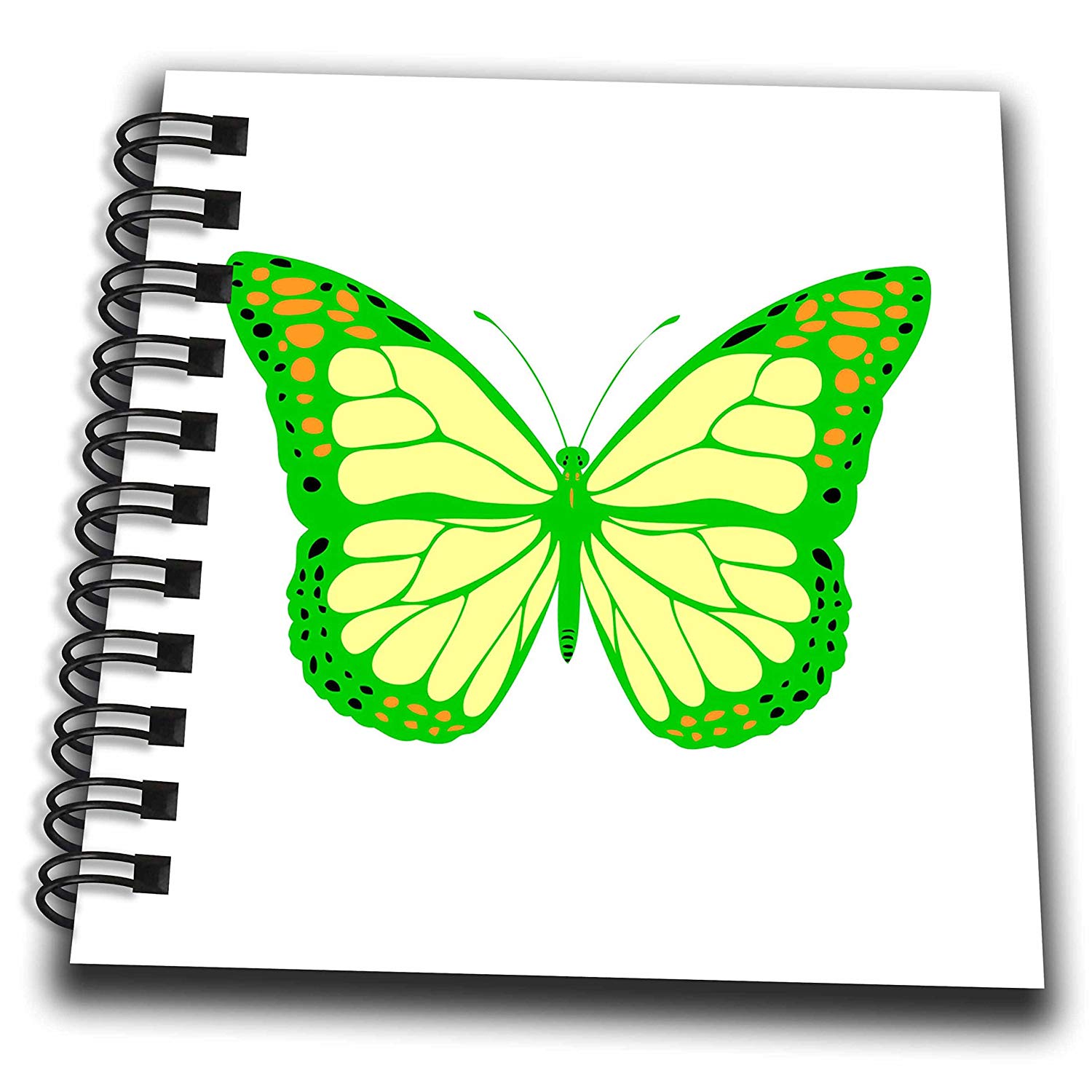 1500x1500 alexis design