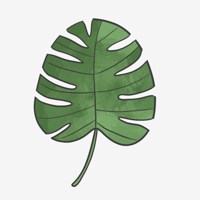 640x640 hand drawn green summer board leaf, nature, drawing, hand drawn
