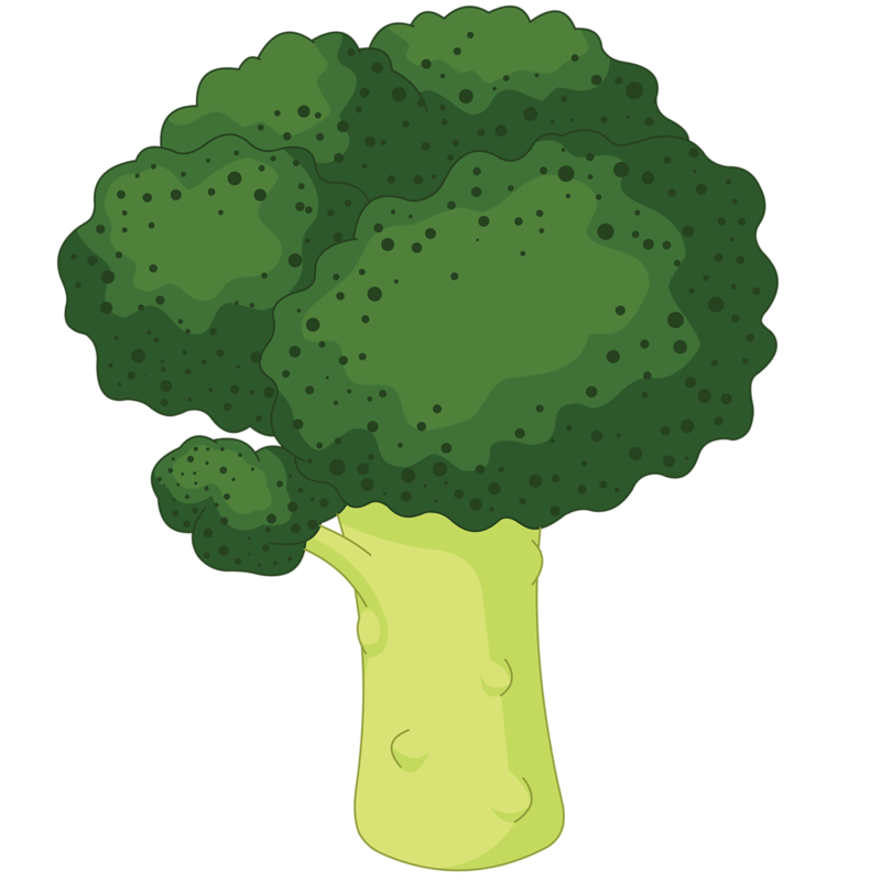 800x800 Collection Of Free Broccoli Drawing Green Vegetable Download On Ui Ex