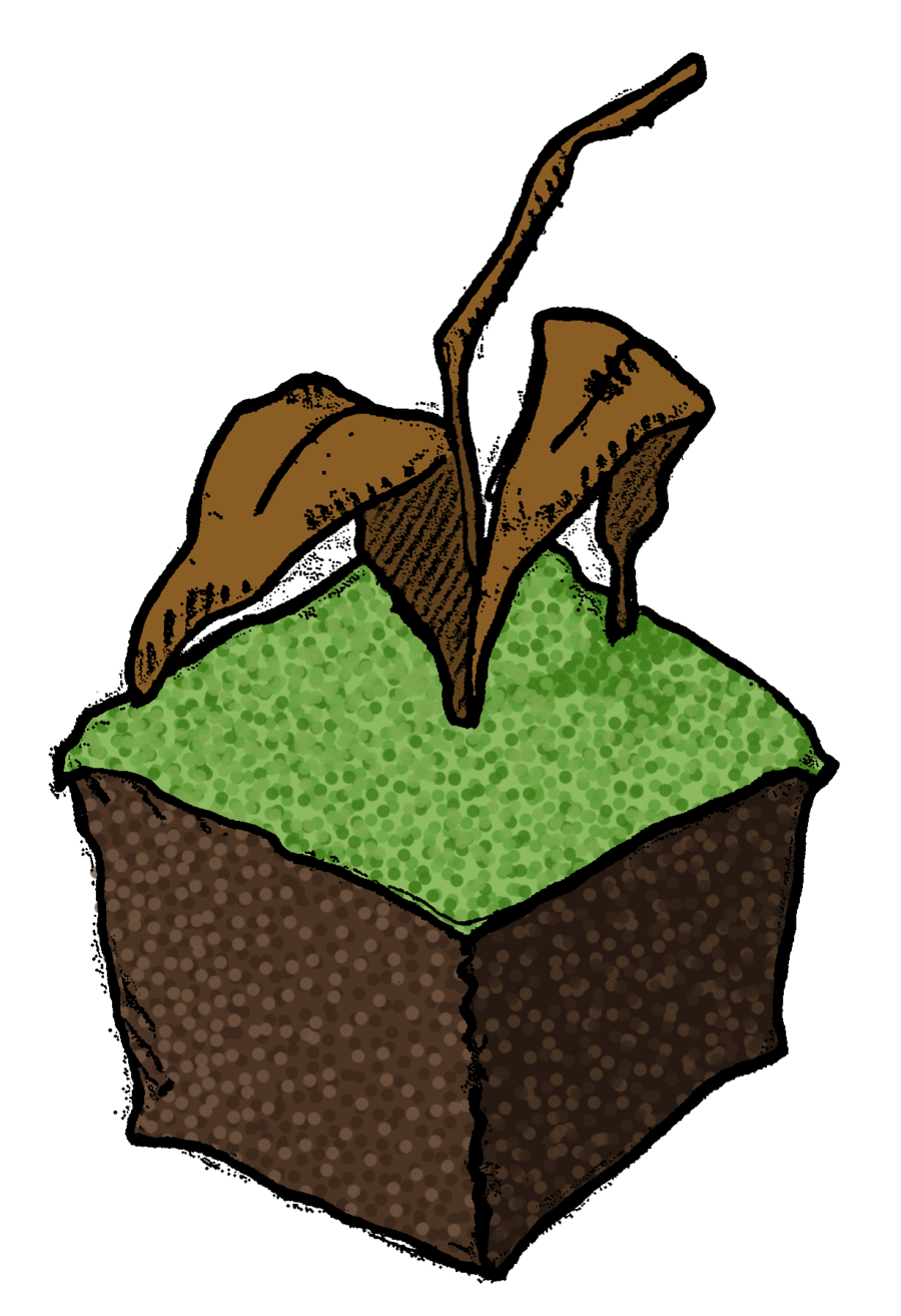 900x1313 Collection Of Free Bush Drawing Green Download On Ui Ex