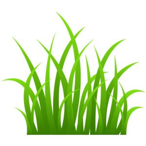 300x300 Grass Cute Fun Pics Images