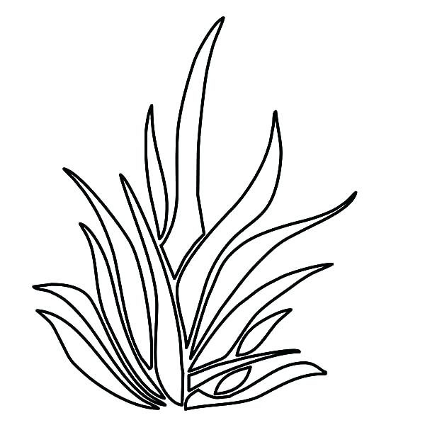 600x600 Grass Drawing Free Download