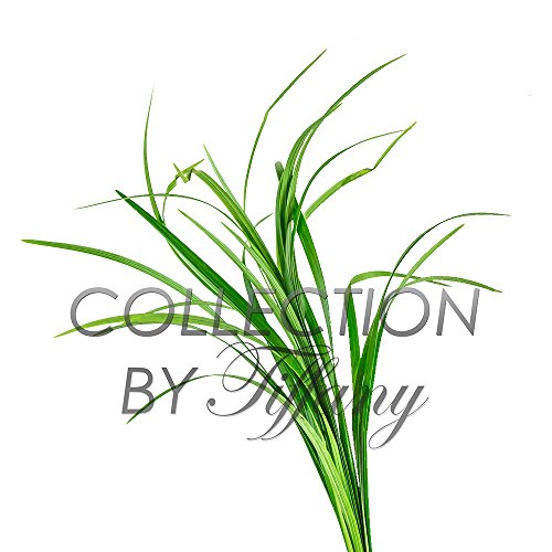 500x500 Fresh Lily Grass Green Flexible Diy Wedding Arts