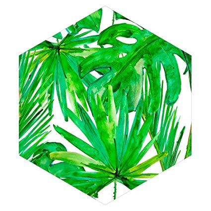 425x425 Hand Drawn Plant Leaves Painting Hexagonal Crystal