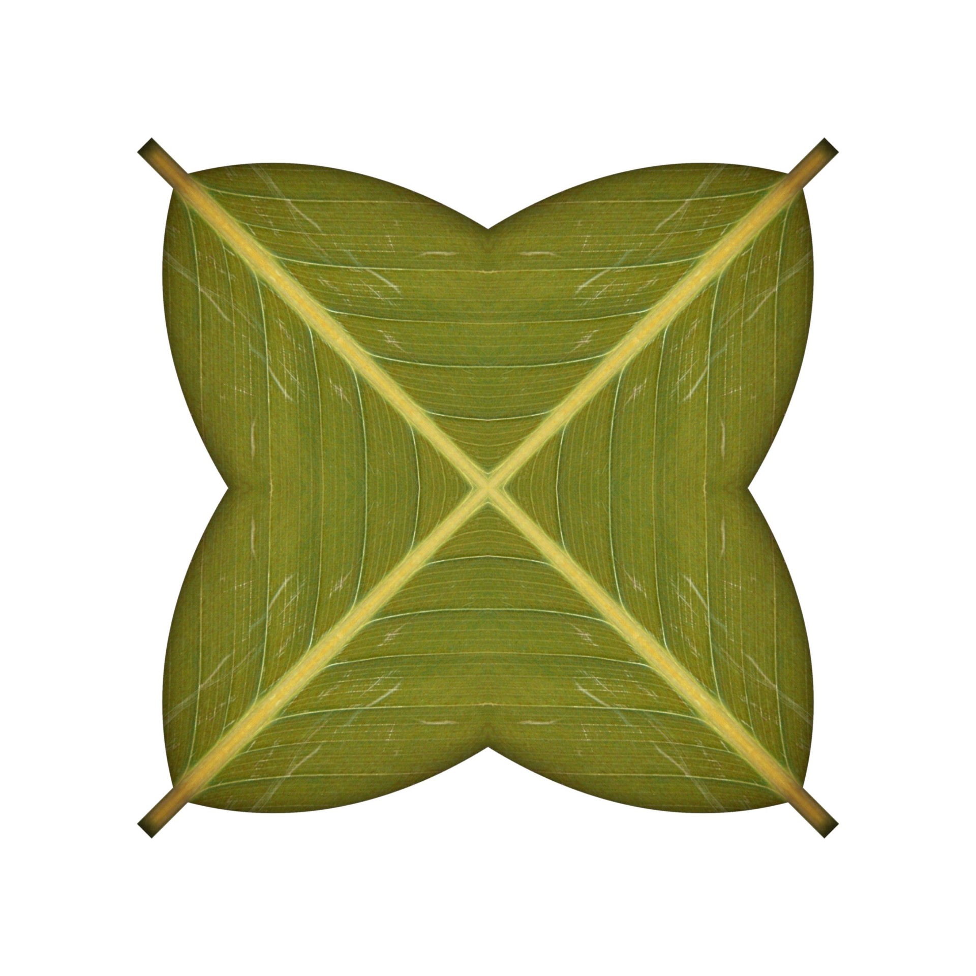 1920x1920 green, leaf, mirror, diagonal, white