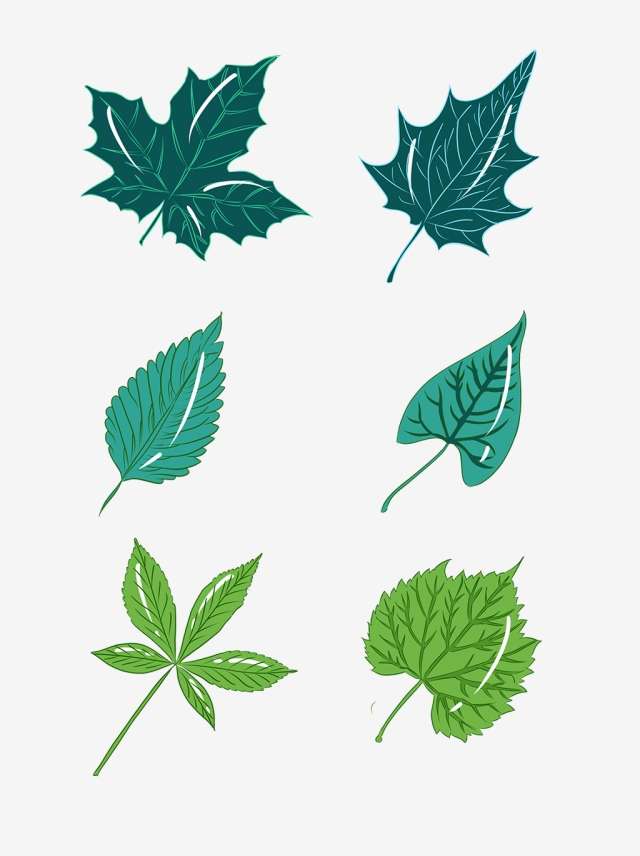 640x856 hand painted plant material hand painted green leaves commercial