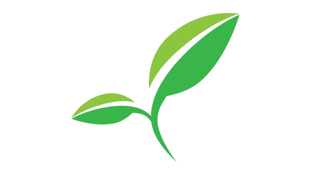 1280x720 Tutorial Illustrator How To Make Leaf