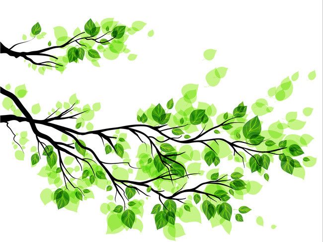 650x486 Spring Green Leaves Branch Background In Amin Leaves