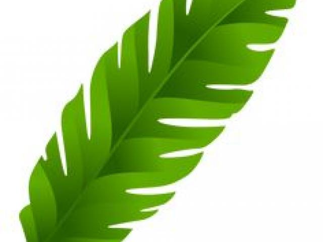 640x480 Free Green Leaves Clipart, Download Free Clip Art