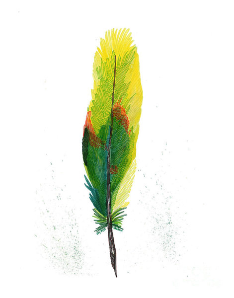 471x600 Green Parrot Drawings Fine Art America