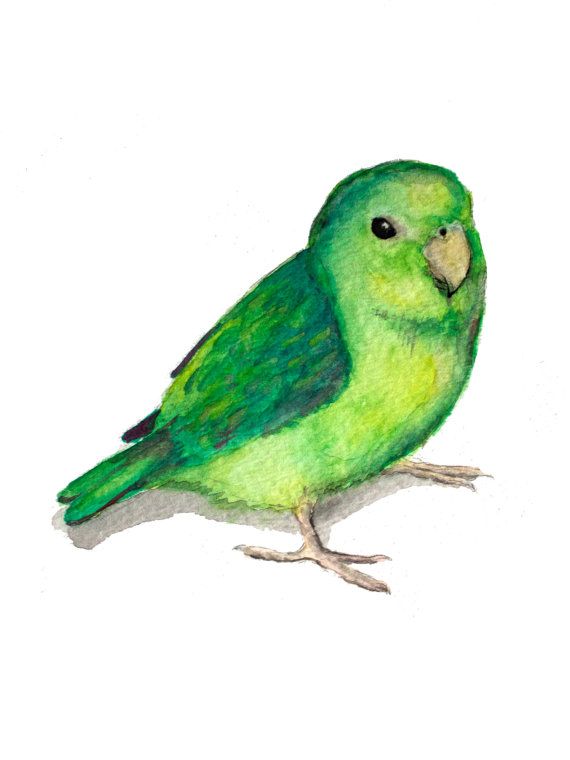 570x760 Luna Cheeper