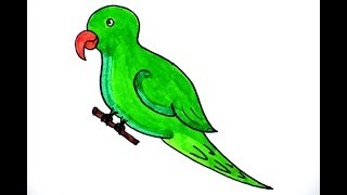 320x180 Parrot Drawing For Kids Easy