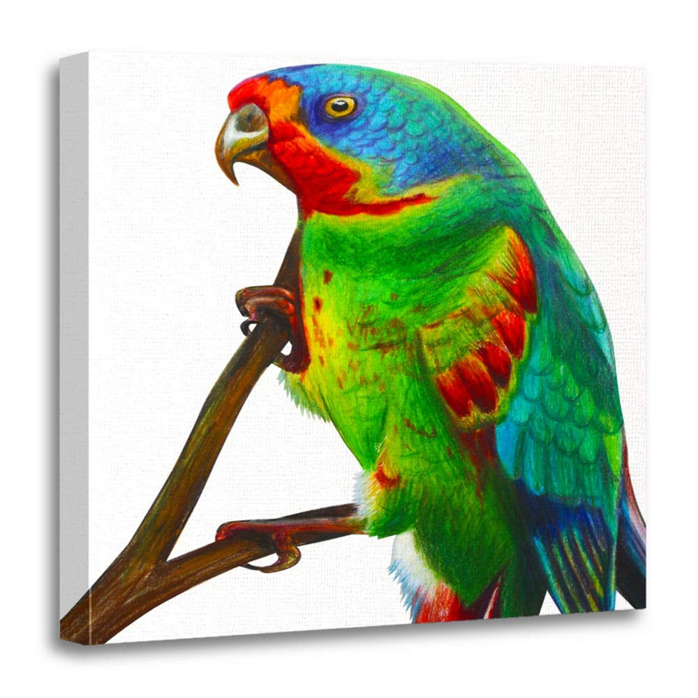 1000x1000 Emvency Canvas Prints Square Inches Green Parrot