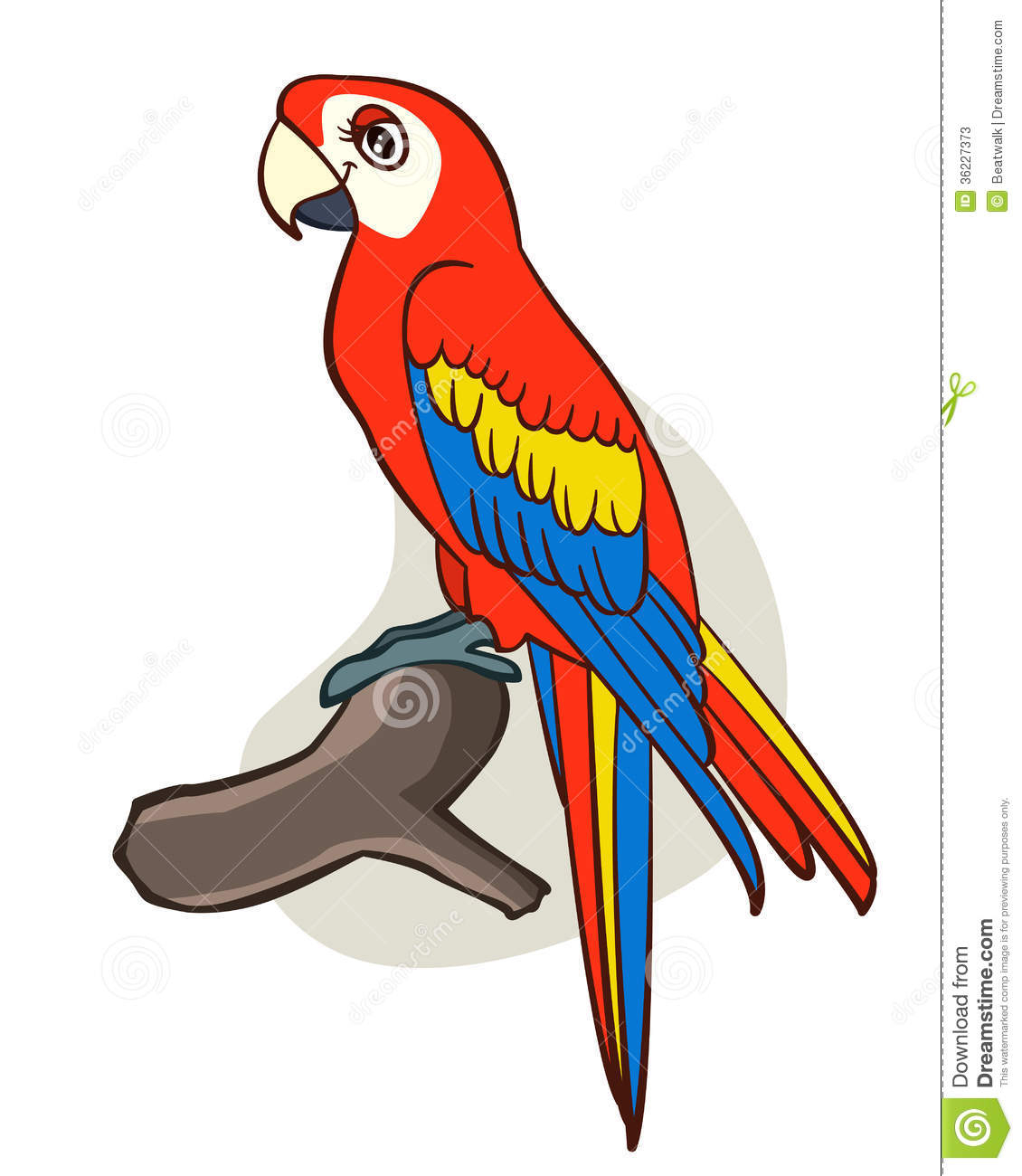 1130x1300 Cute Parrot Drawing Green Parrot