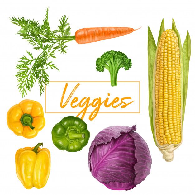 626x626 Delicious Fresh Veggies Premium Vector Red Cabbage, Broccoli