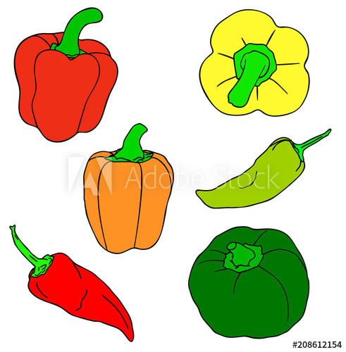 491x500 Vector Illustration, Set Of Red, Green And Yellow Isolated Peppers