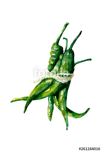 334x500 Watercolor Drawing Of Green Pepper Stock Photo And Royalty Free