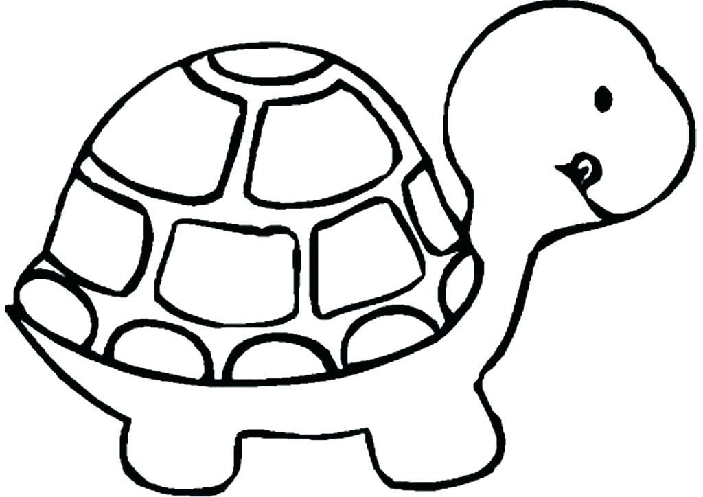 1024x724 Drawings Of A Turtle Green Sea Turtle