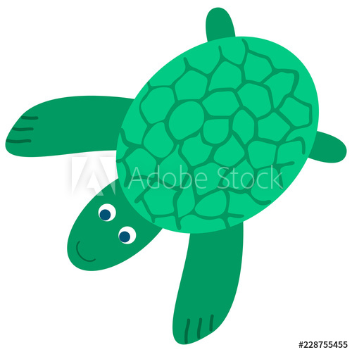 500x500 Green Turtle Vector Drawing In Flat Style Isolated