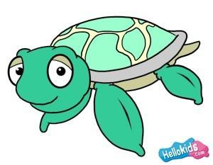 300x233 How To Draw A Sea Turtle Drawing Animals Turtle
