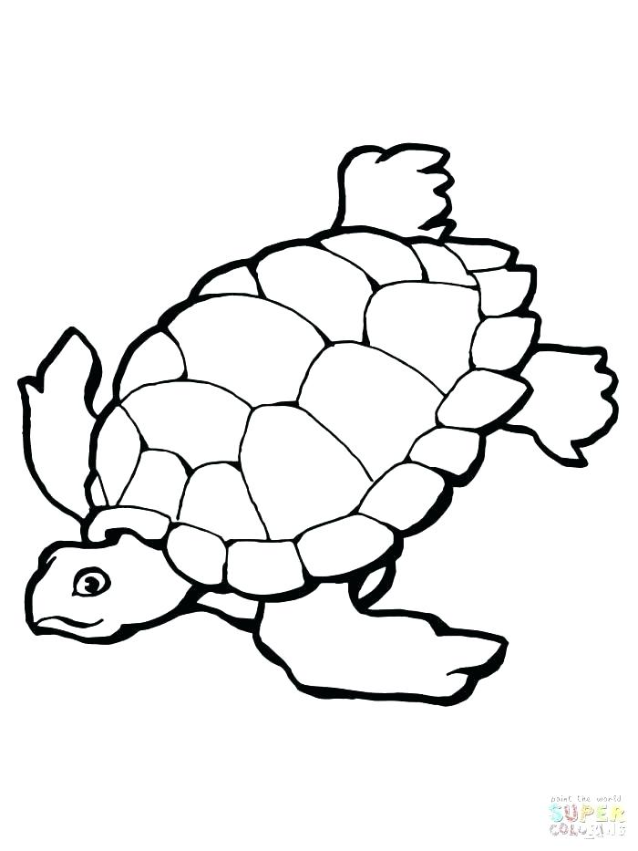 700x933 Baby Turtle Coloring Pages Search Results Baby Turtle Drawings