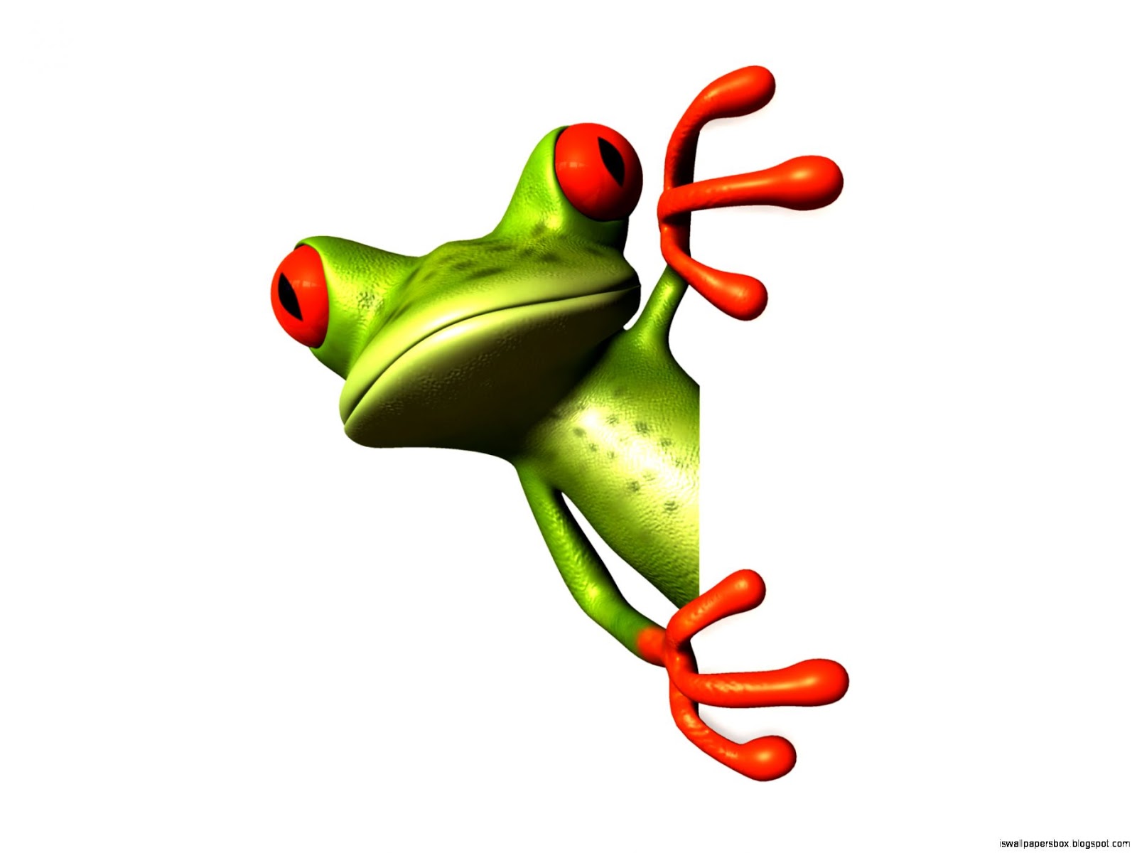 1600x1200 Green Tree Frogs Picures Wallpapers Box