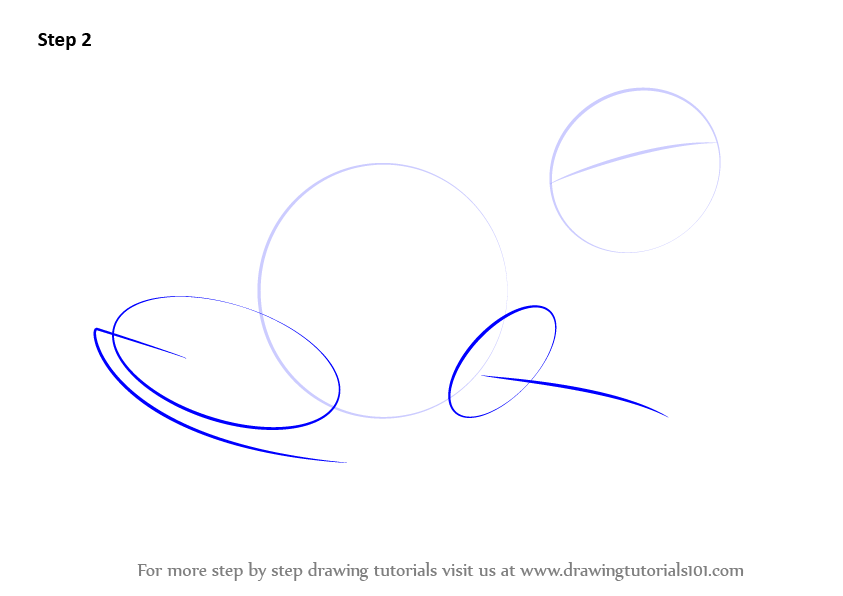 843x596 Learn How To Draw A Green Tree Frog