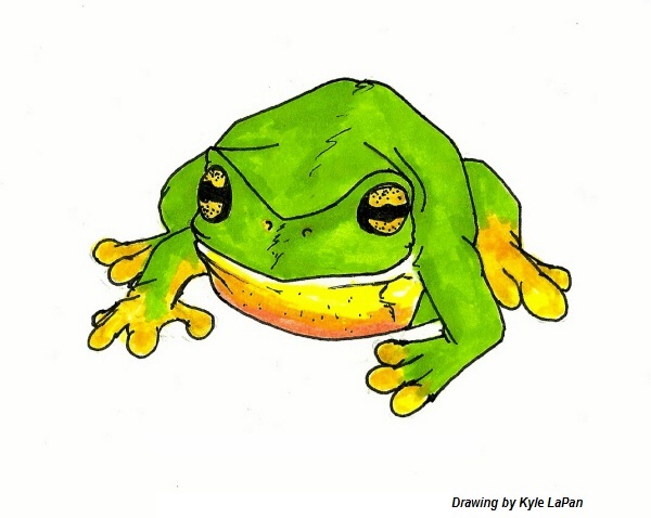 600x478 Tree Toad Tree Frog Caves Clipart
