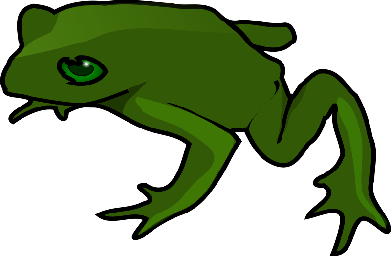 800x524 Collection Of Free Kermit Drawing Green Frog Download On Ui Ex