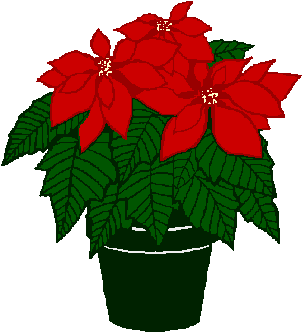 304x334 collection of free poinsettia drawing greenery download on ui ex
