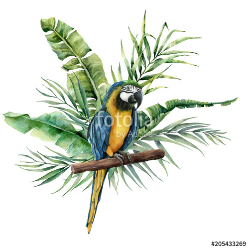 500x500 Watercolor Parrot With Tropical Leaves Hand Painted Parrot
