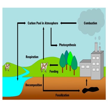 360x360 Greenhouse Effect Diagram Drawing