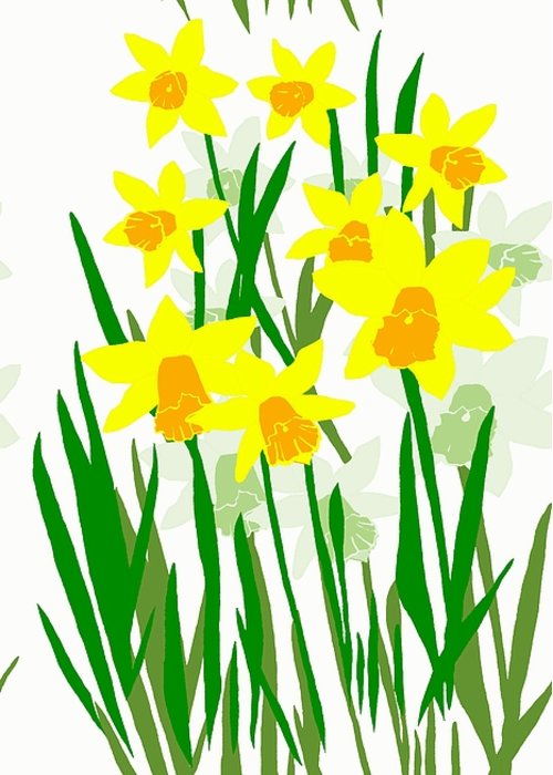 500x700 Daffodils Drawing Greeting Card For Sale