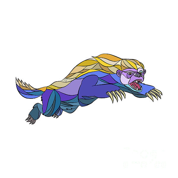 600x600 Honey Badger Jumping Drawing Greeting Card For Sale