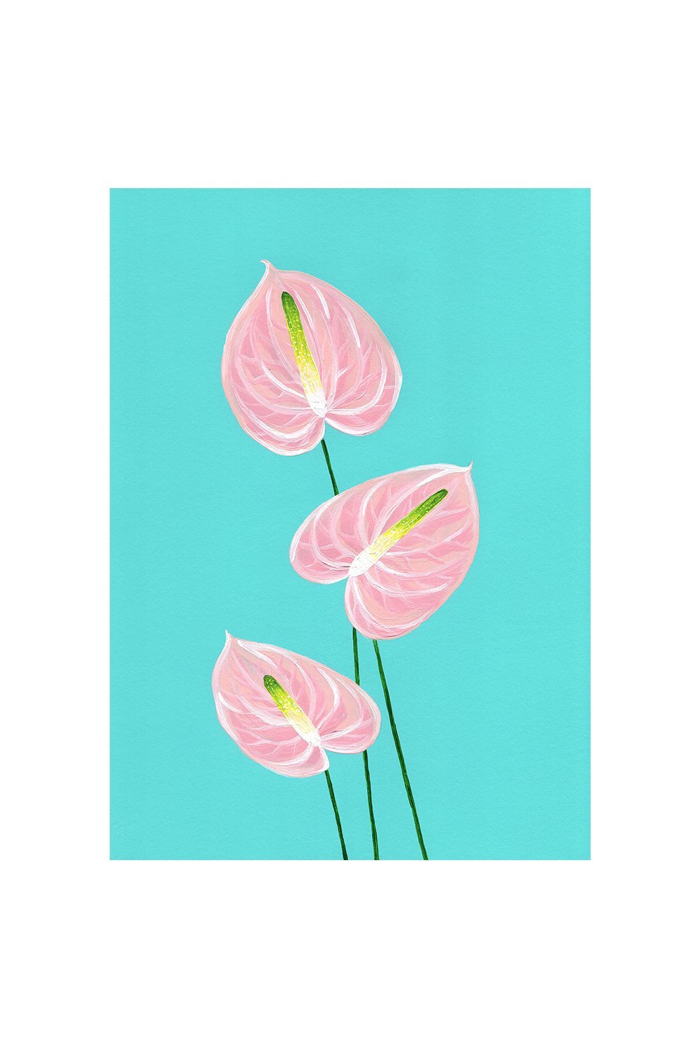 1000x1500 Stengun Drawings Anthurium On Turquoise Card Pad Lifestyle