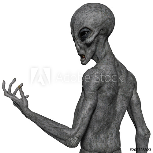 500x500 Grey Alien Exploring Arround
