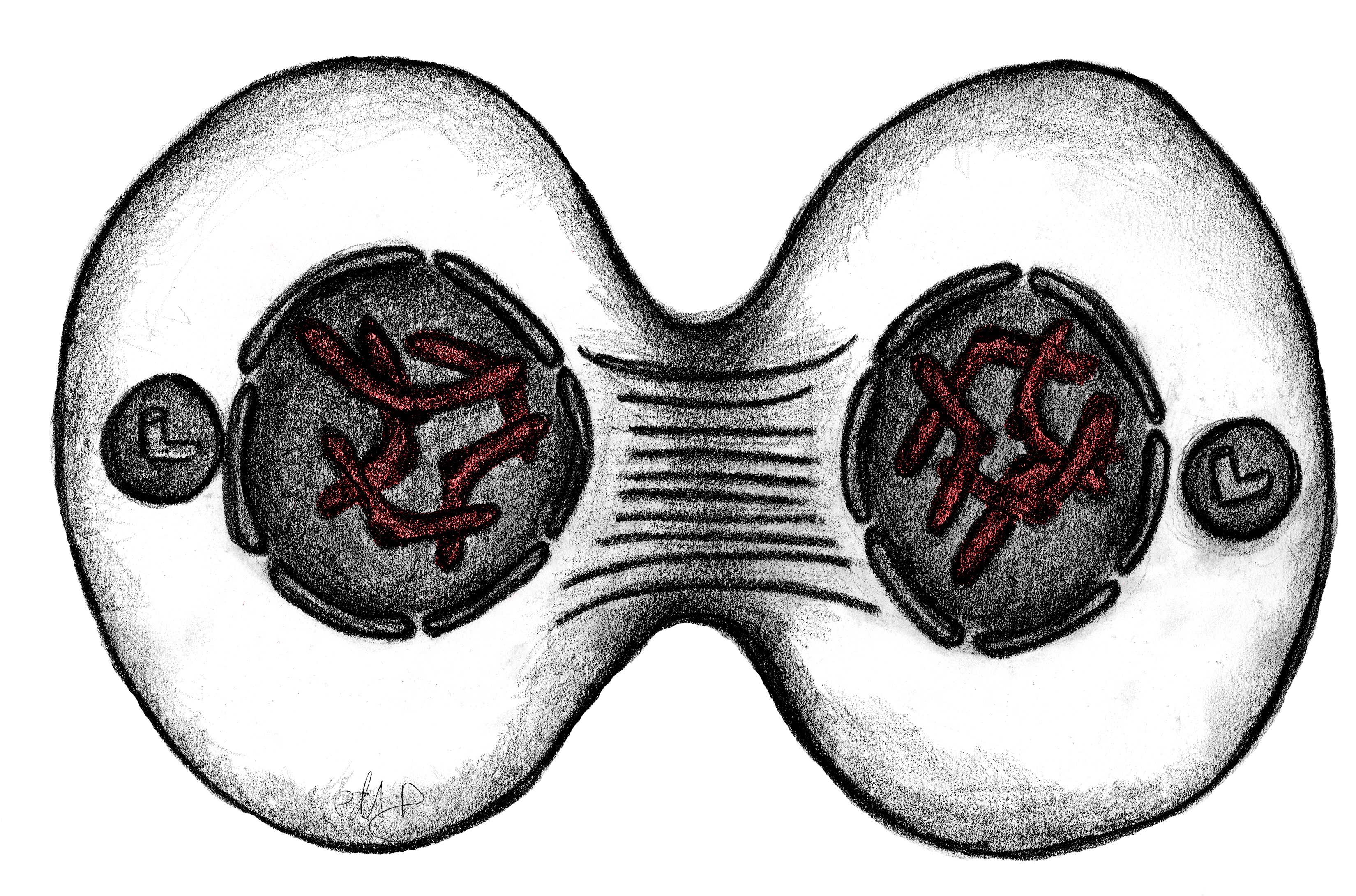 3300x2181 Drawing Archives