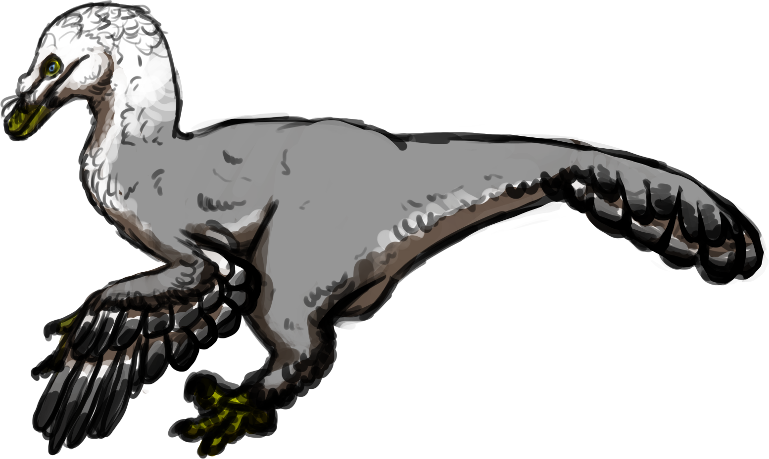 1554x929 Grey Garden