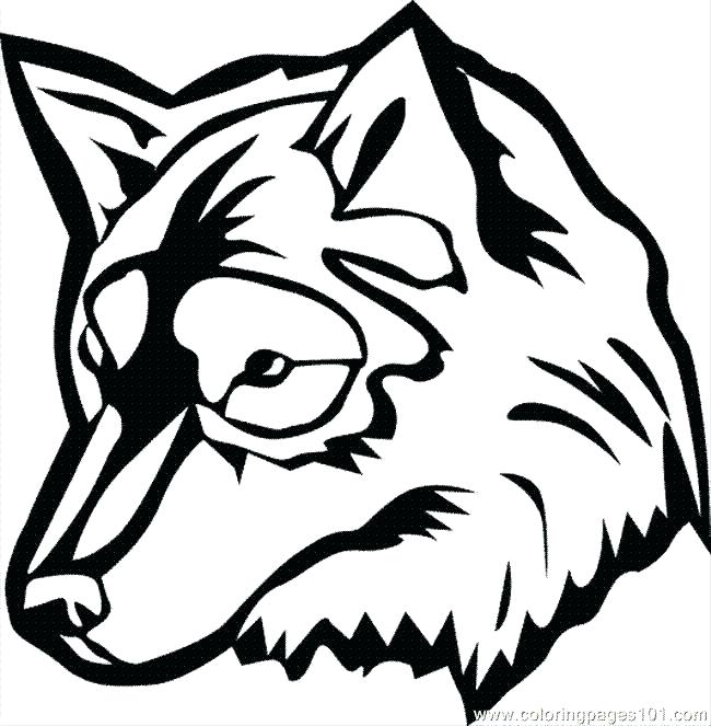 650x663 Grey Wolf Coloring Sheets Anime Pages The Collection Of Wolves