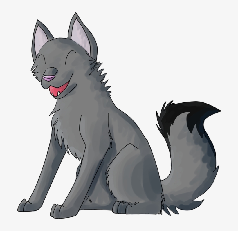 820x796 Grey Wolf Drawing Transparent Transparent Png