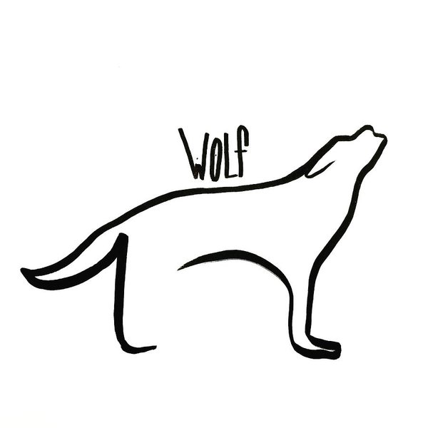 600x600 Grey Wolf Drawings Fine Art America