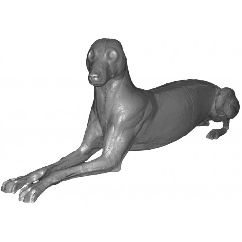 500x500 Grey Wolf Gw F