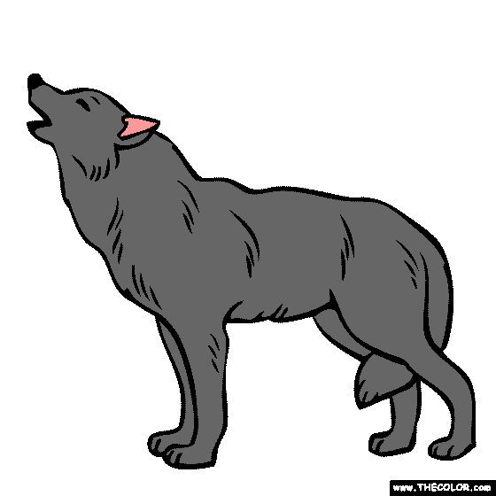 Grey Wolf Drawing 